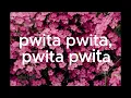 Zuchu - Pwita (Official Lyric Video)
