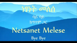 ነፃነት መለሰ ባይ ባይ ከግጥም ጋር Netsanet Melese Bye Bye Lyrics Ethiopian Music MusikaLyrics 