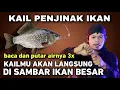 Lagu BACA 3X SAJA, KAILMU AKAN LANGSUNG DI SAMBAR IKAN BESAR ‼️