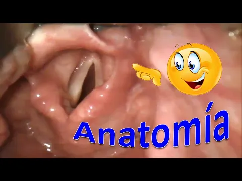 Download MP3 Anatomía de la intubación endotraqueal vista con un videolaringoscopio (GlideScope)