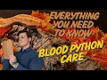 The COMPLETE Blood Python Care Guide