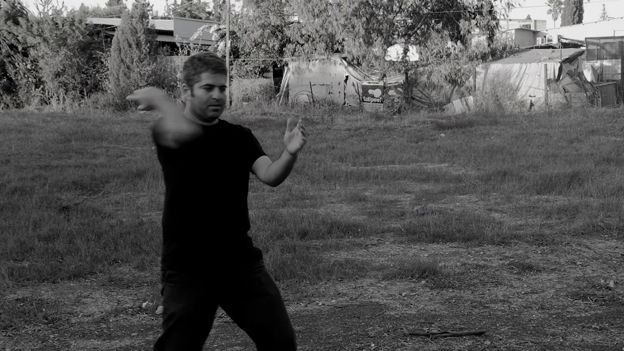 Beginning Of The Quick Fist based on the old 28 steps form