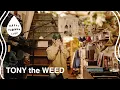The Best Instrumental - TONY the WEED / HAPPY FLOWER LIVE 🌼