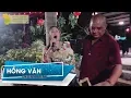 Download Lagu Hồng Vân said \