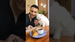 كيك بثلاث مكونات فقط اسهل طريقة للكيك Shorts Explore Cake Sweet 