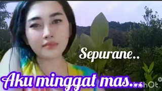 aku minggat mase album dangdut remix reggae version pilihan audio jernih 