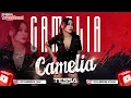 Download Lagu NEW SINGLE FUNKOT VIRAL CAMELIA - TASYA ROSMALA BY DJ TESSA MORENA