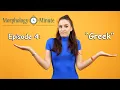 Morphology Minute Episode 4