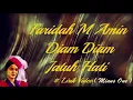 Lagu Faridah M Amin ~Diam Diam Jatuh Hati  minus1