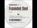 Download Lagu Expanded Soul  -  Summer Daze
