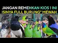Download Lagu ❎ JANGAN REMEHKAN KIOS 1 INI ISINYA FULL BURUNG\