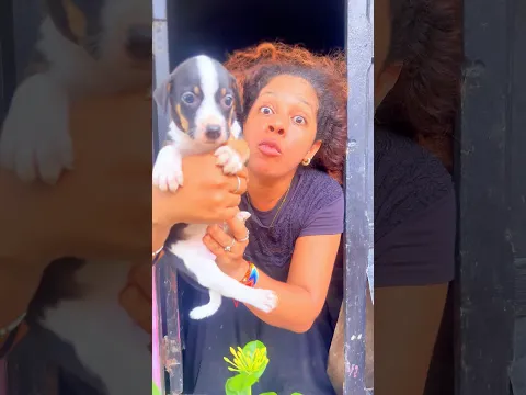 Donde está mi perrito 🐶😭 #viral #drama