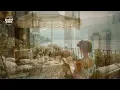 AMORE | Italian Traditional Love Songs 🌅 Romantic Melodies & Soft Summer Light