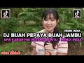Lagu DJ BUAH PEPAYA BUAH JAMBU - BUJANG BUNTU REMIX INDIA MY DARLING I LOVE YOU VERSI INDONESIA