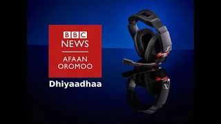 oduu bbc afaan oromoo