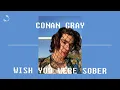 Download Lagu Conan Gray - Wish You Were Sober | 1 Hour Loop