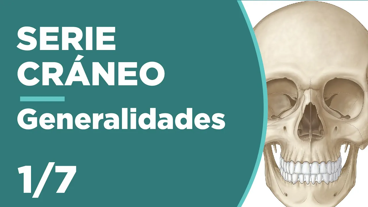 CRÁNEO 1/7 Generalidades de cráneo | Anatomía 💀