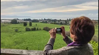 Traveling back to New Zealand after 20 years away