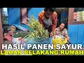Lagu PERSIAPAN TAHUN BARU, ANGKUT HASIL PANEN KEDELAI DARI LAHAN PAK EKO!