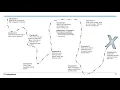Course at a Glance Guide