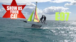 Show us your cat! Episode 97 USA and Sardinia