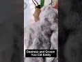 Steamy Brush - 3 in1 Pet Grooming Brush Pet Pals Parlor