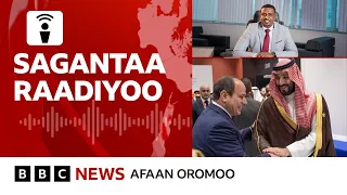 Dhaabbanni MIDROC Daa Imman Buna Funaansisa Jedhamee Himatamuu BBC News Afaan Oromoo 