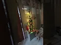 Download Lagu https://www.facebook.com/share/r/1HKNCBcw7Z/  click the link for video. #diychristmastree