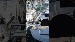 Синтетический vs натуральный тик после зимы — честный итог