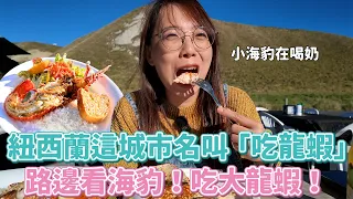 紐西蘭城市名叫：「吃龍蝦」可以在路邊吃龍蝦看海豹！$2500就能摘星！紐西蘭米其林給我吃烤高麗菜