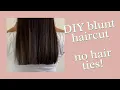 How to do a Blunt Haircut at home DIY Professional Hairstylist Explains