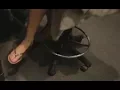 Kyle Got a Pedicure