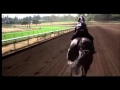 Download Lagu The Black Stallion