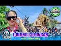 Lagu COLONG COLONGAN VOC. INDAH WATY FT NEW NADA PUTRA SHOW UNJUNGAN BUYUT JAKA DOLOG KAPRINGAN 