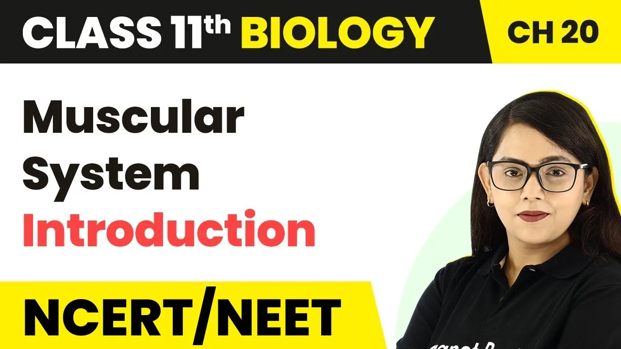 Muscular System Introduction - Locomotion and Movement | Class 11 Biology