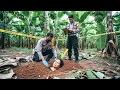 Lagu MOJOKERTO GEGER‼️ Kebun Pisang Jadi TKP Penguburan Hidup Hidup, Motif Menantu Mengejutkan Polisi!