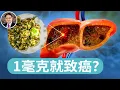 Download Lagu 1毫克就可能導致癌症！你家廚房裡可能也有，快自查！｜四維健康