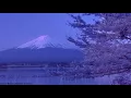 Carbon Based Lifeforms-Terpene-HD video-Ambient