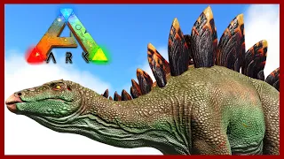 NEW Stego Taming Breeding - TLC 3 UPDATE