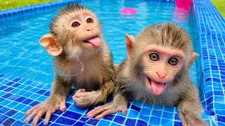 Monkey Dad Bim Bim & Son Obi Help Baby Rabbit Harvest Vegetables and Swim in the Garden 🐵🐰