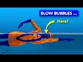 You are 4 steps away from breathing like a pro swimmer