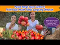 Download Lagu Panen Panen Tomat Yang Gedenya Brutal \u0026 Nyoba Buah Buahan Musim Panas
