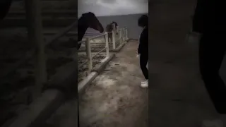 اسمعهم يشمتون اهلك باهلنه ستوريات انستا حب 