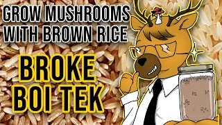 Download EASIEST Way to Grow Mushrooms - Broke Boi Tek MP3