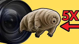 This Camera Lens Can See WATER BEARS - (AKSEN 5X Ultra Macro Lens Review)