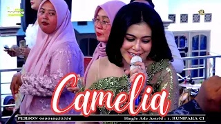 camelia live ade astrid x gerengseng team
