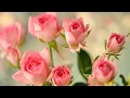 Download Lagu Лучшие композиции Сергея Грищука! Восхитительная мелодия нежной любви! Послушайте! музыка 2021