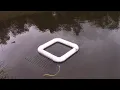 DIY Live Turtle Trap