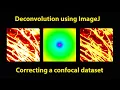 Deconvolve a confocal dataset using ImageJ