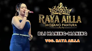 bli maning maning voc raya ailla live omora obrog mojang pantura part 2 rayaailla hiburan